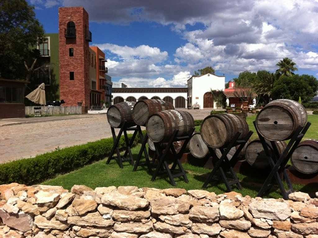 Experiencia virtual desde Viñedos La Redonda