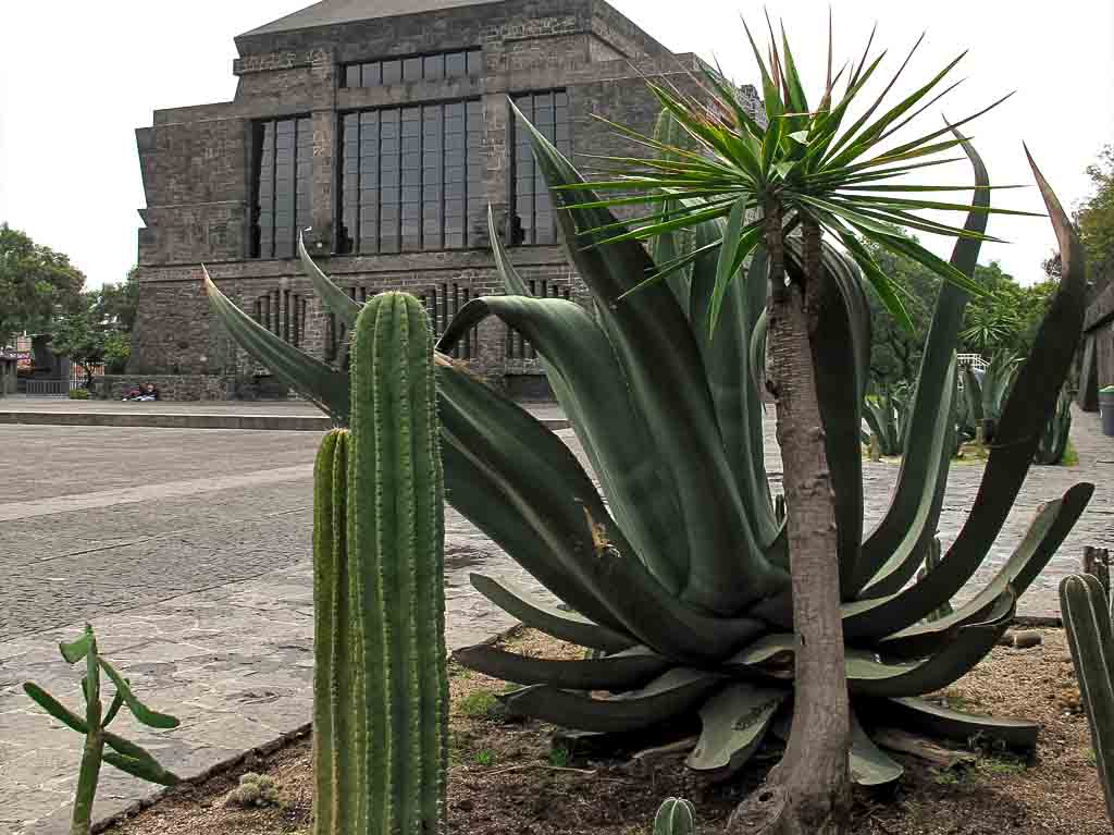 Jardin del museo anahuacalli