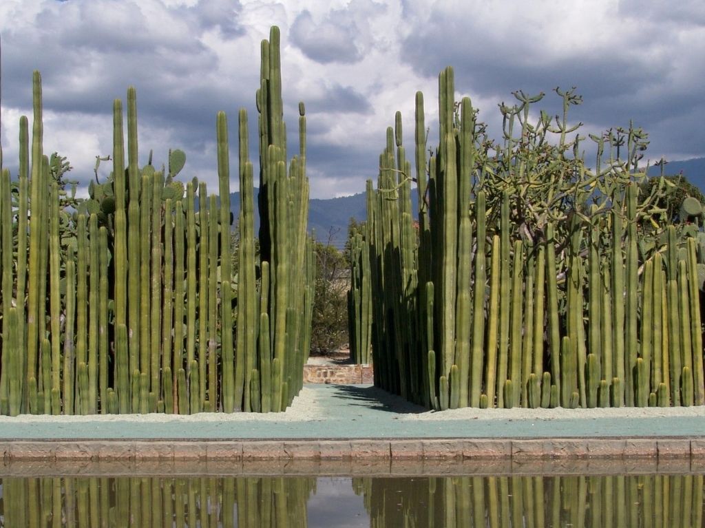 mejores museos de Oaxaca, Jardín etnobotánico