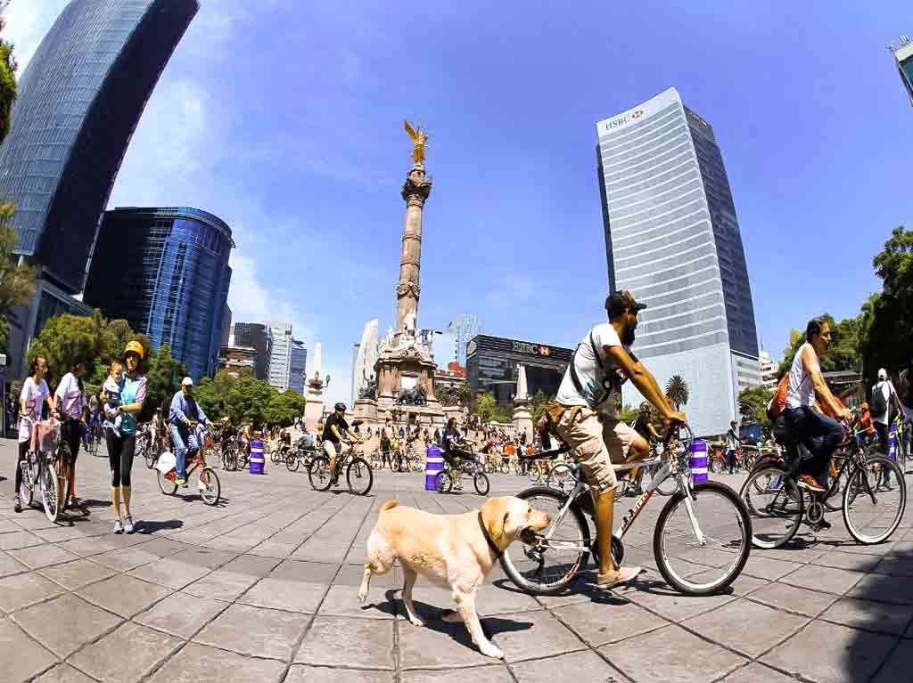 Muévete en Bici: el Paseo Dominical que fascina a CDMX