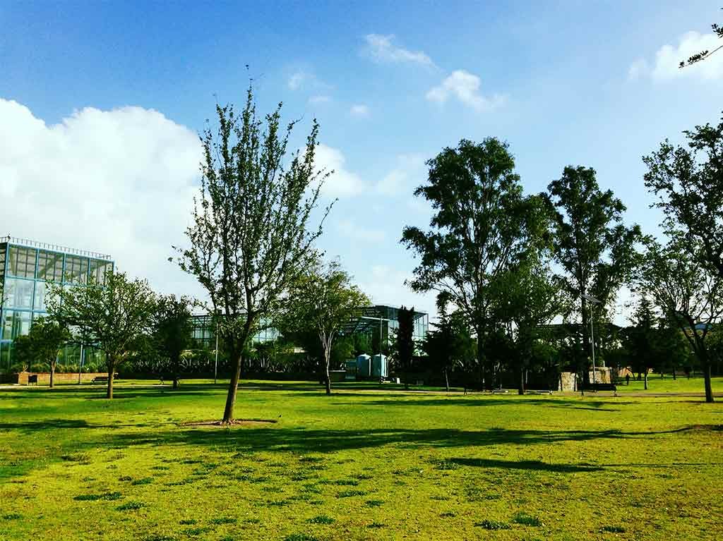 Parques en Azcapotzalco