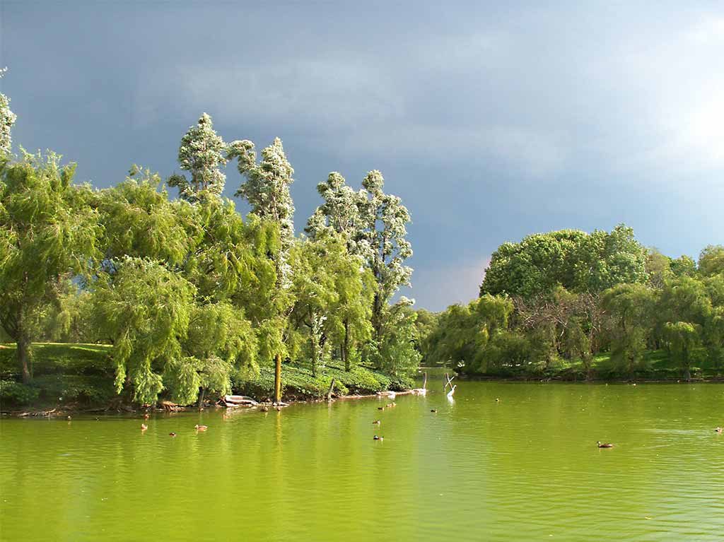 Parques en Azcapotzalco Parque Tezozomoc 