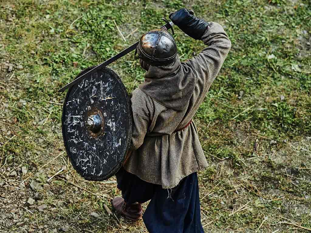 Picnic Medieval y Vikingo en Coyoacán caballero