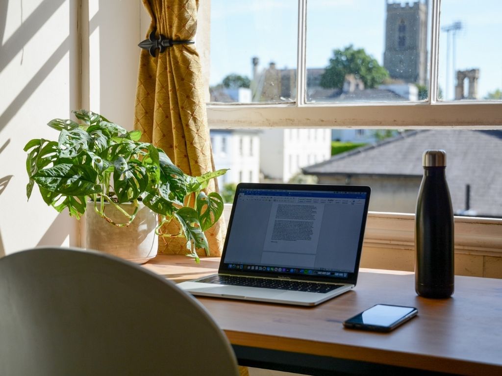 5 plantas para tu espacio de home office