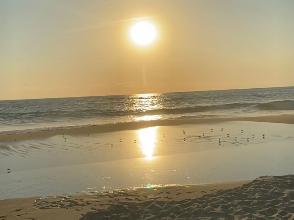 playa punta colorada