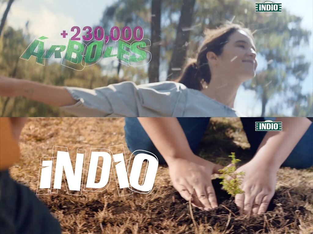 México verde: La iniciativa para reforestar más de 230 mil árboles