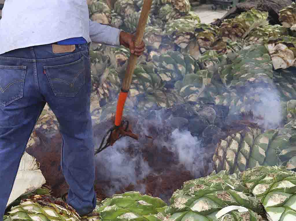 Rutas de mezcal en Oaxaca ¡conoce los palenques de mezcal artesanal!