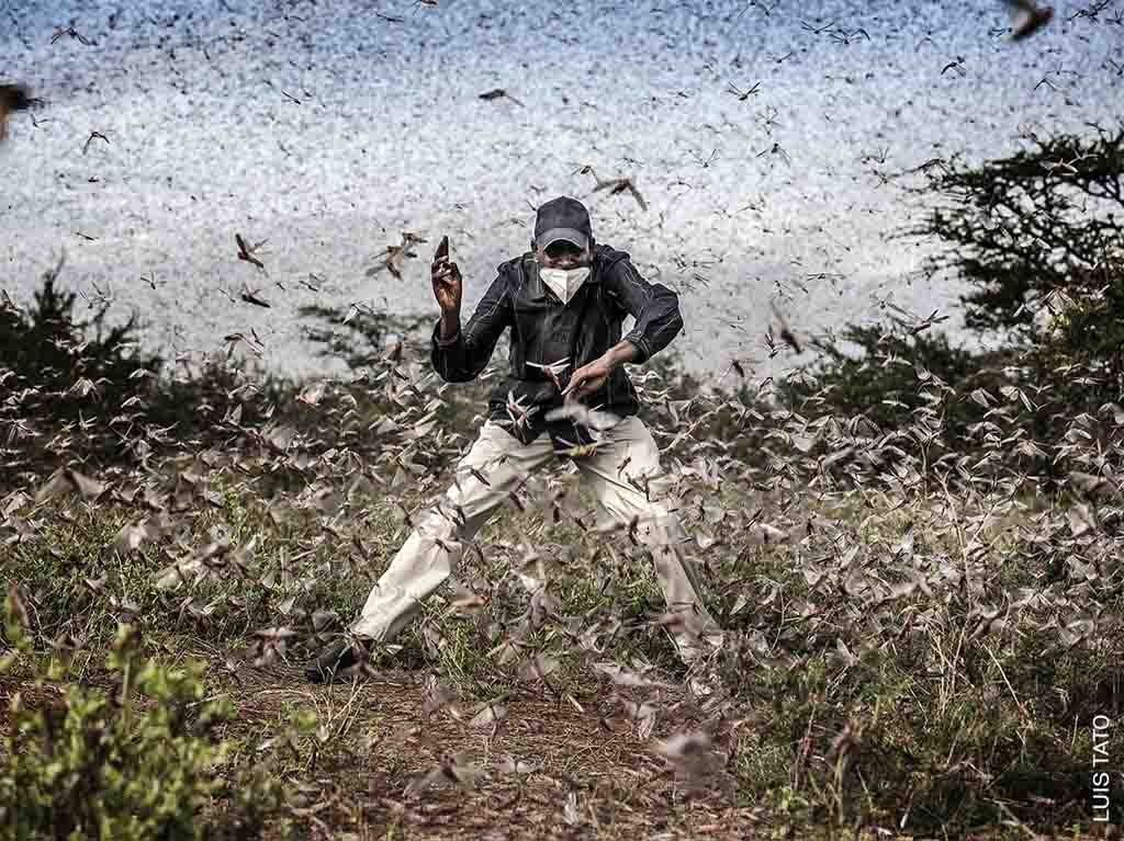 world-press-photo-nominados