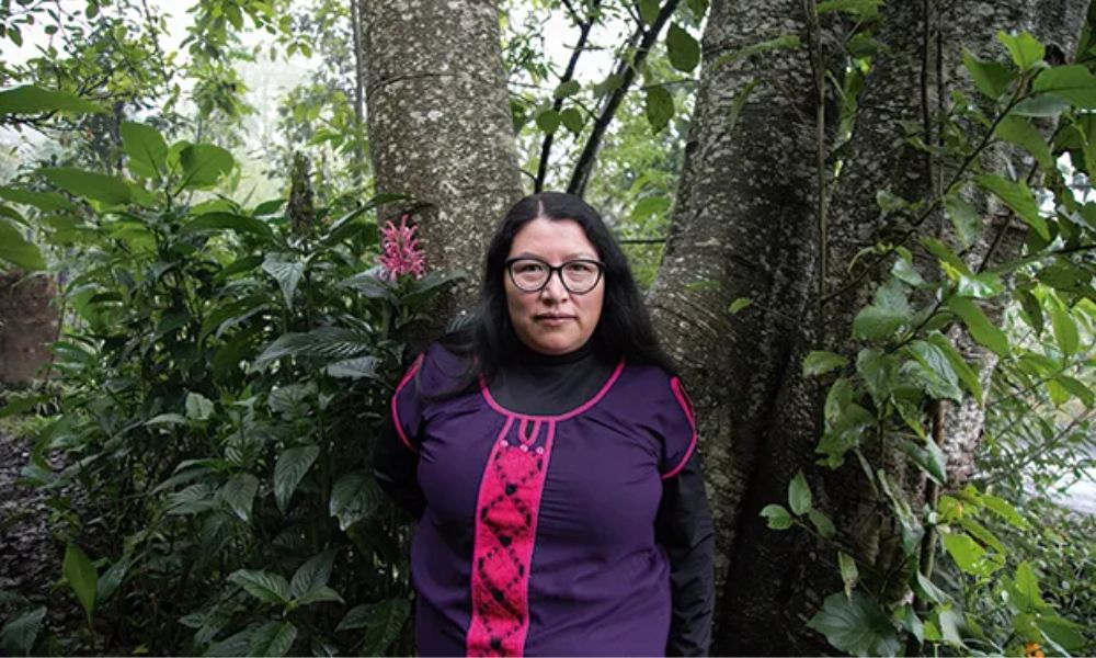 yasnaya-aguilar-activistas-mexicanas