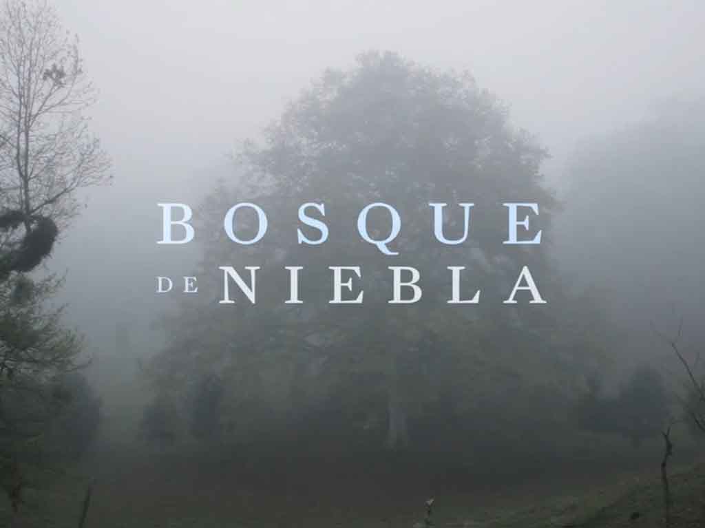 Bosque de niebla, documental