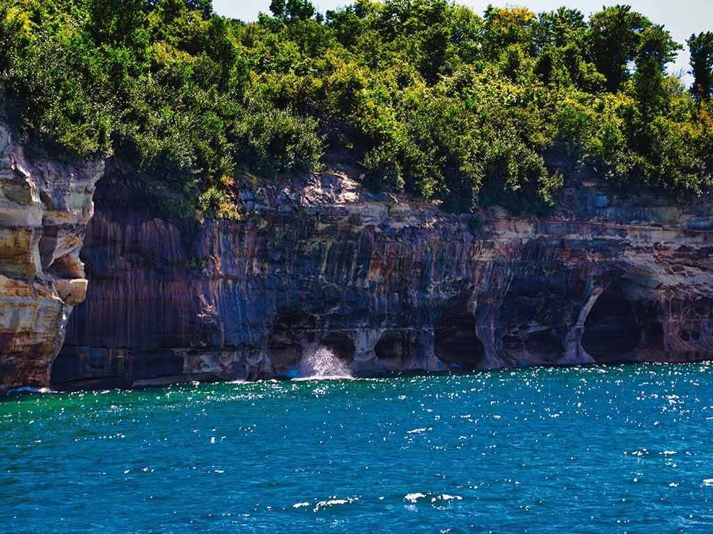 5 maneras de ayudar a cuidar el planeta y celebrar el Día de la Tierra