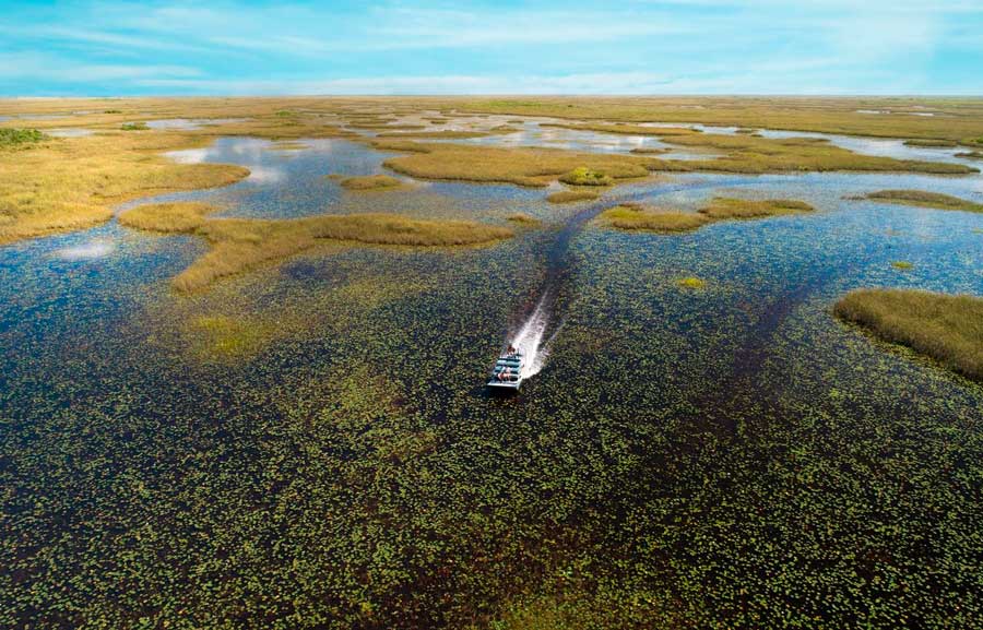 Guía de actividades al aire libre para tu próxima visita a Florida