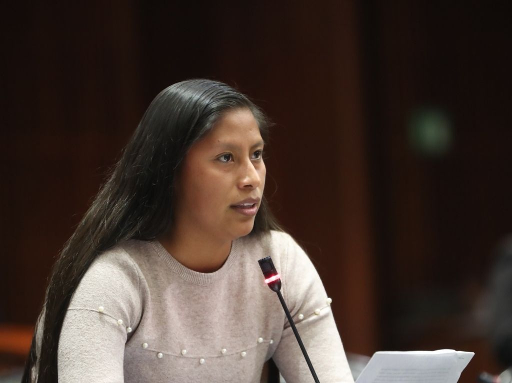 diputada-reyna-celesta-propone-impuesto-en-netflix