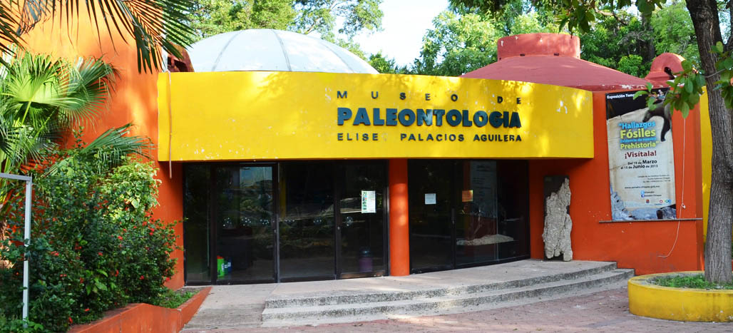 Museo Paleontología Chiapas