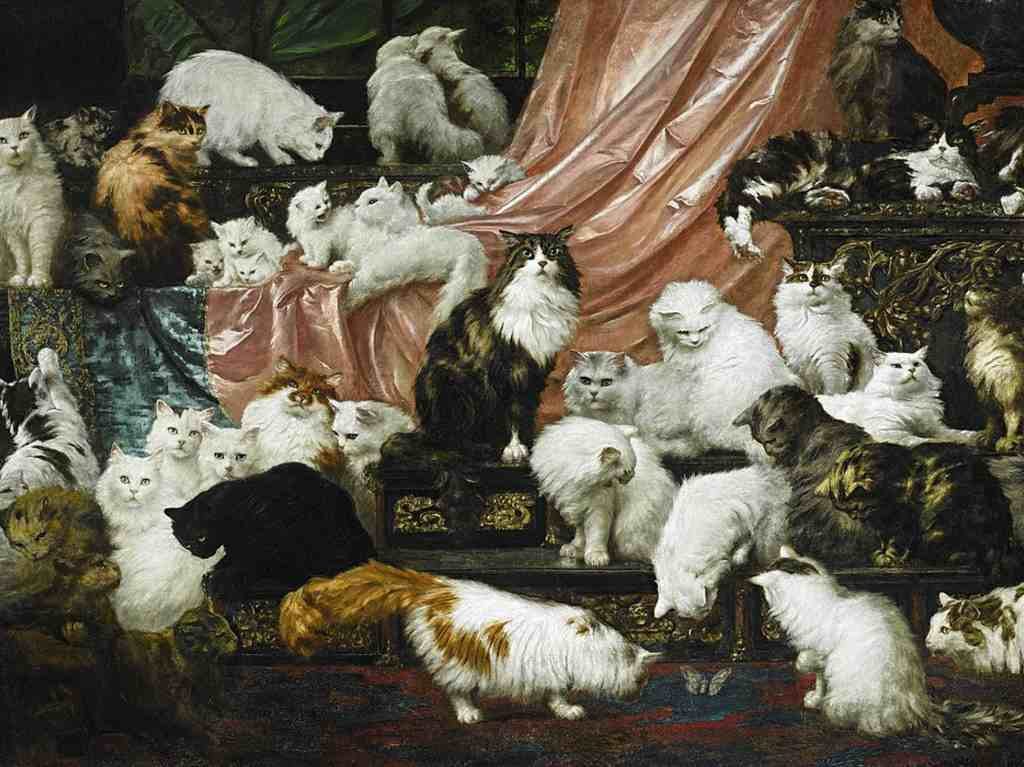 Exposición virtual para amantes de los gatos Portada