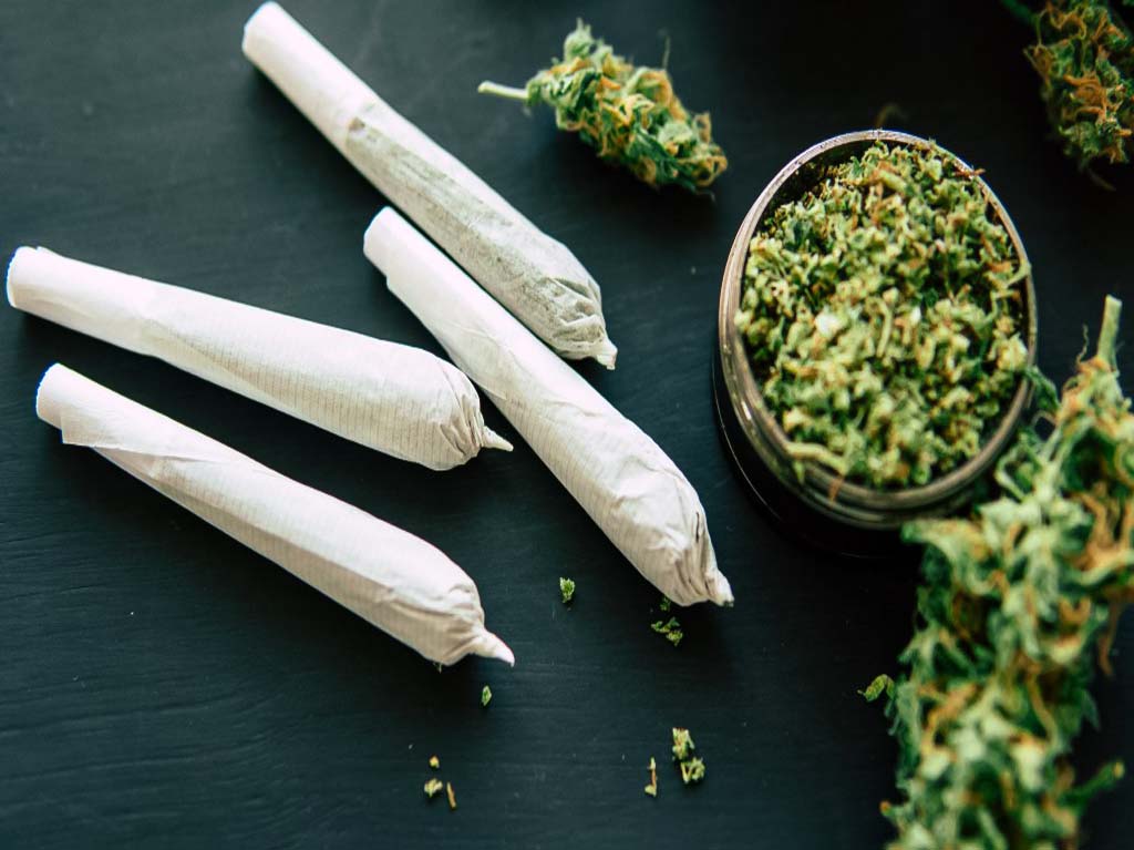 ExpoWeed Hybrid Verano 2021: edición virtual y presencial