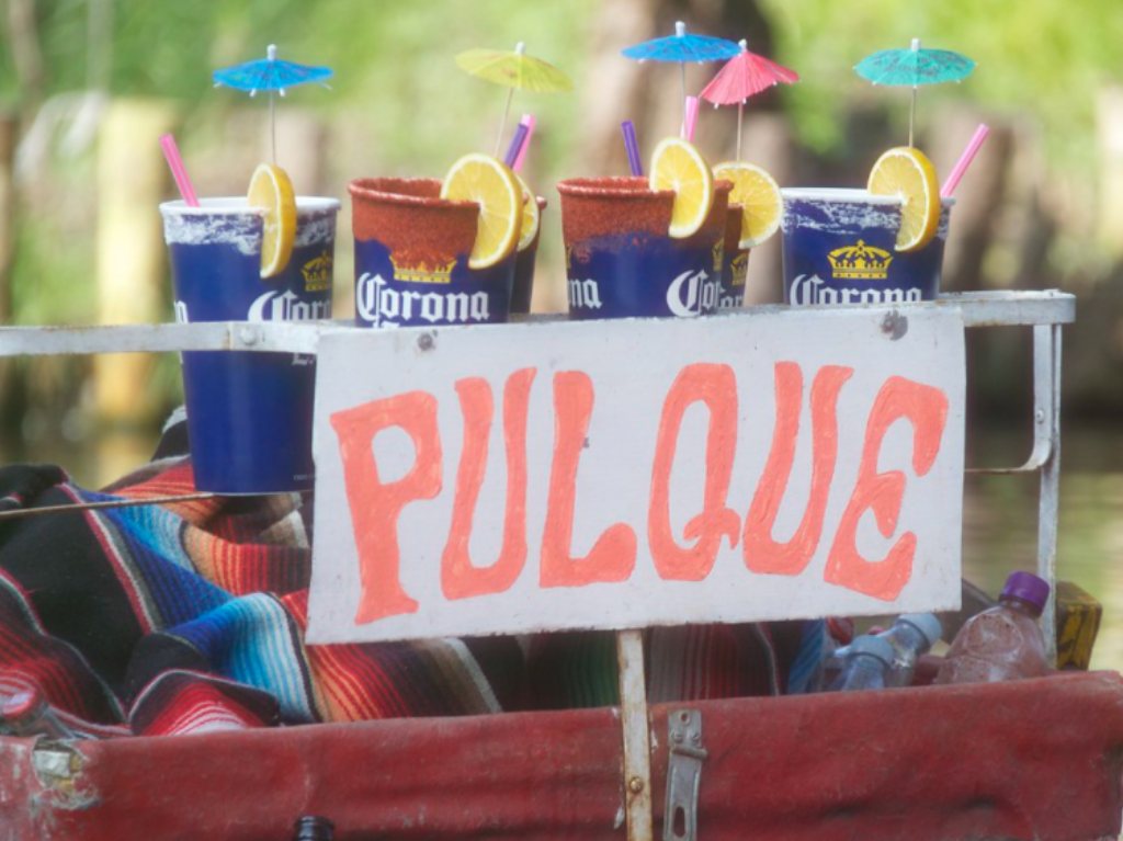 Festival del Pulque, Gastronomía típica y Mezcal en CDMX