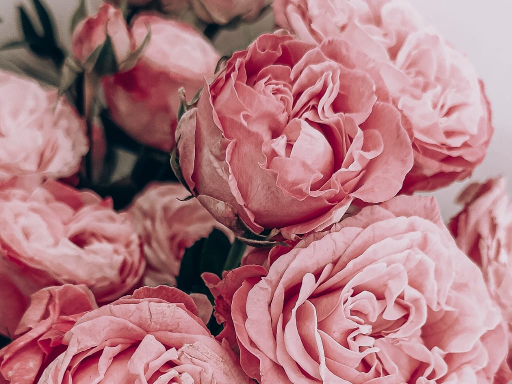 flores-dia-de-las-madres-rosas