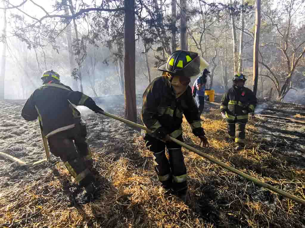 Incendio forestal dentro del Bosque de Chapultepec 