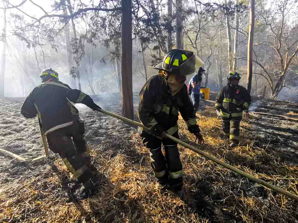 Incendio forestal dentro del Bosque de Chapultepec
