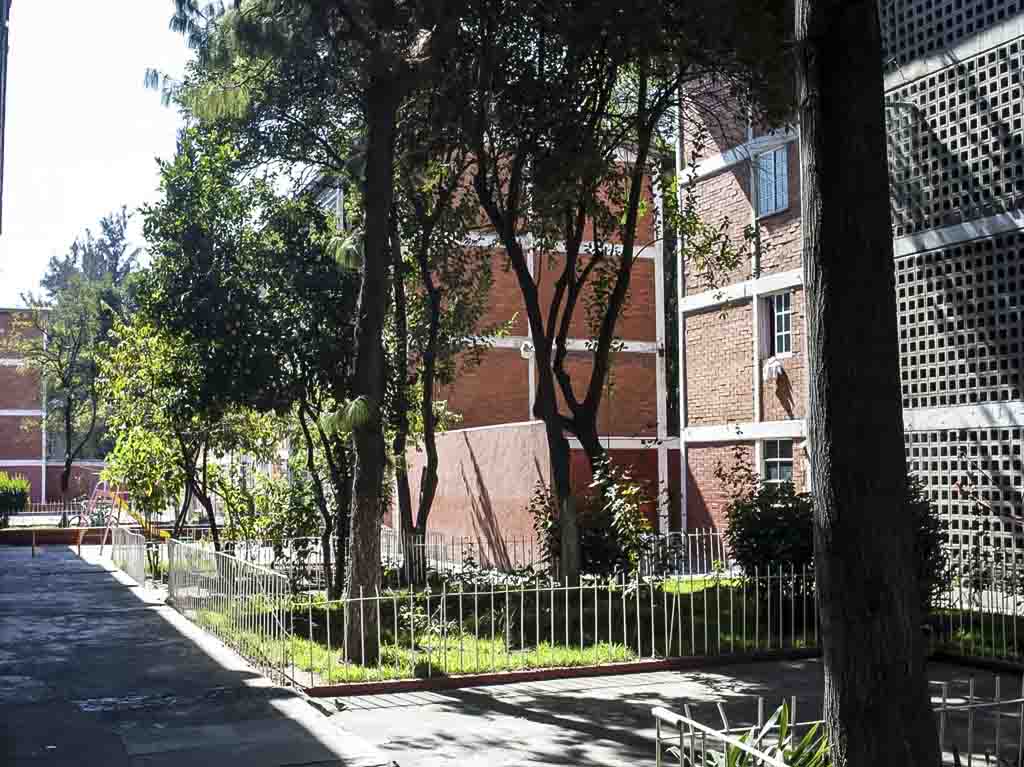 Jardín en unidad habitacional diseñado por Luis Barragán