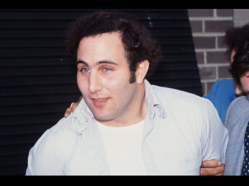 Los hijos de Sam, la serie de Netflix sobre el asesino David Berkowitz