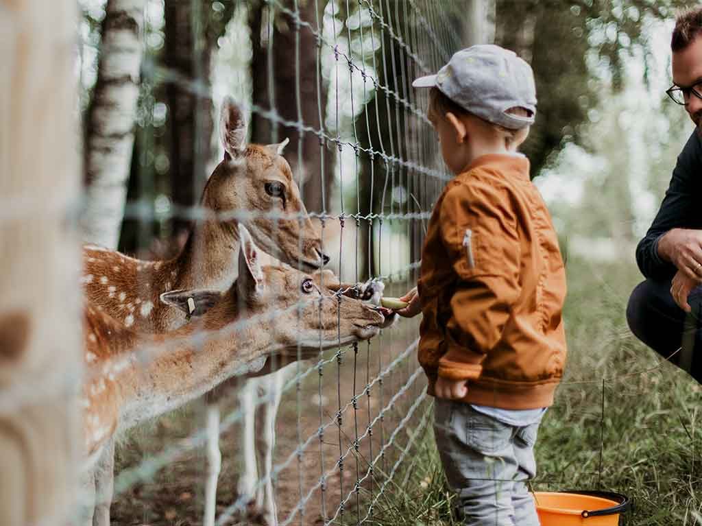 lugares divertidos y seguros para celebrar el día del niño