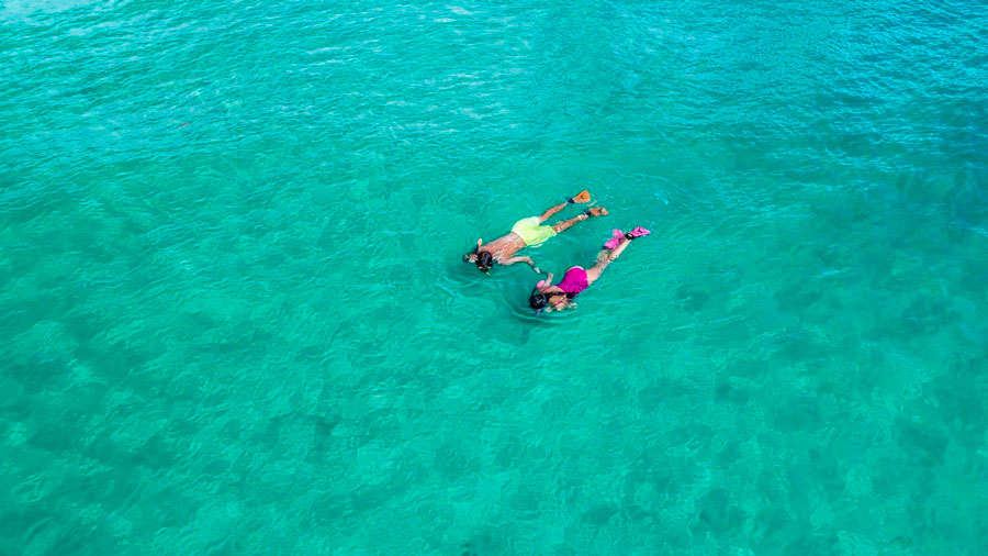 Conoce los mejores lugares para practicar buceo o snorkel en Florida