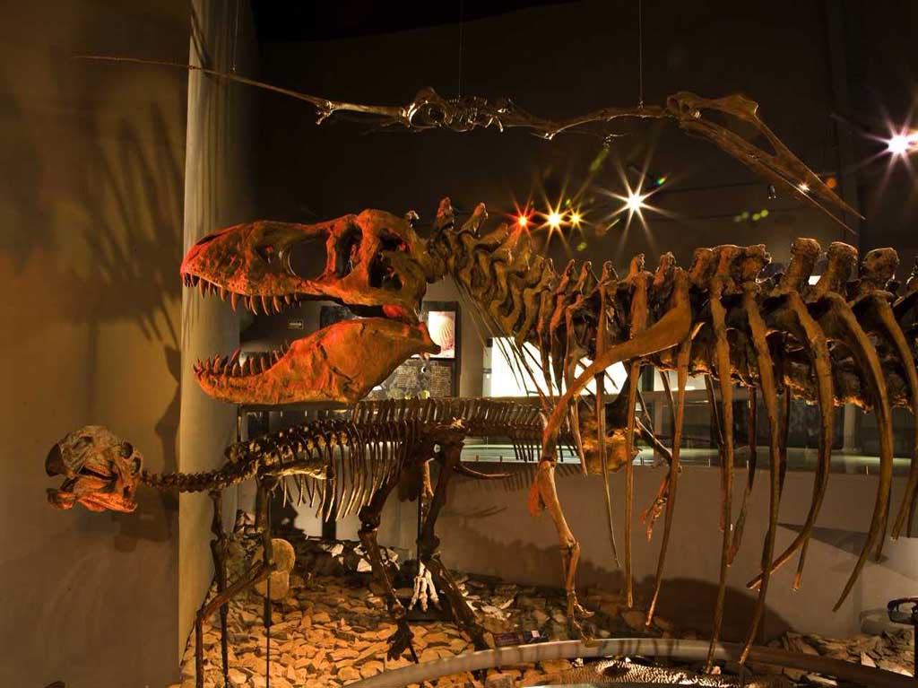 museo-del-desierto