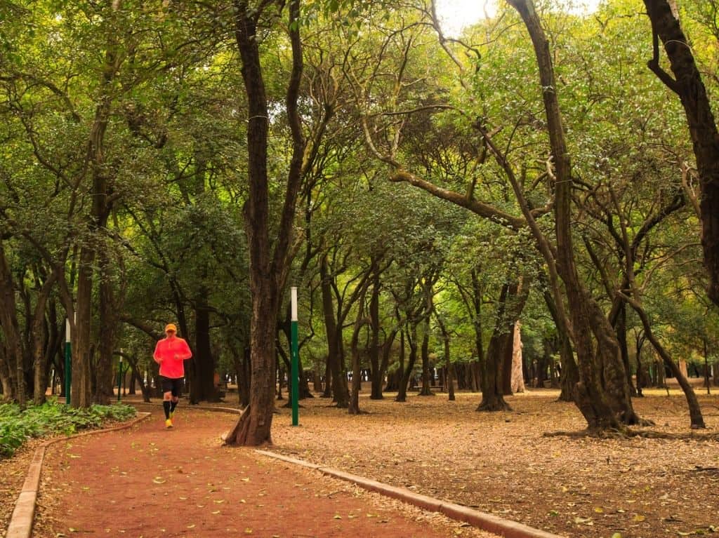 parque gandhi