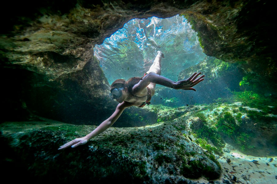 Conoce los mejores lugares para practicar buceo o snorkel en Florida