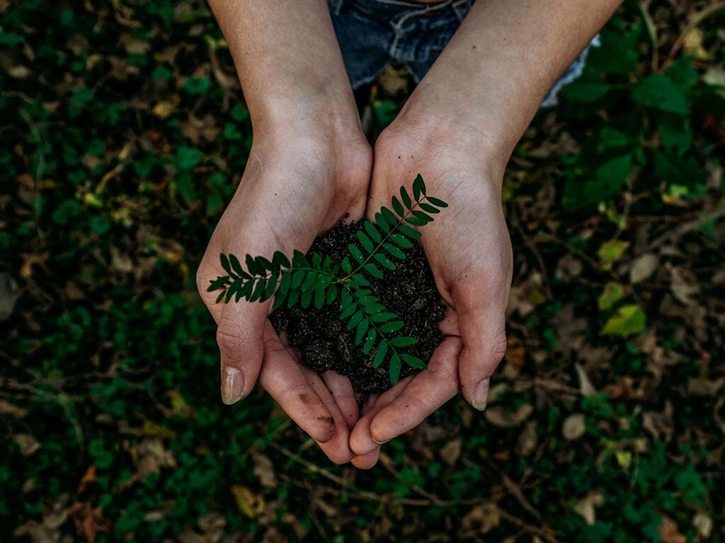 reforestacion-5-maneras-de-ayudar-a-cuidar-el-planeta-y-celebrar-el-dia-de-la-tierra