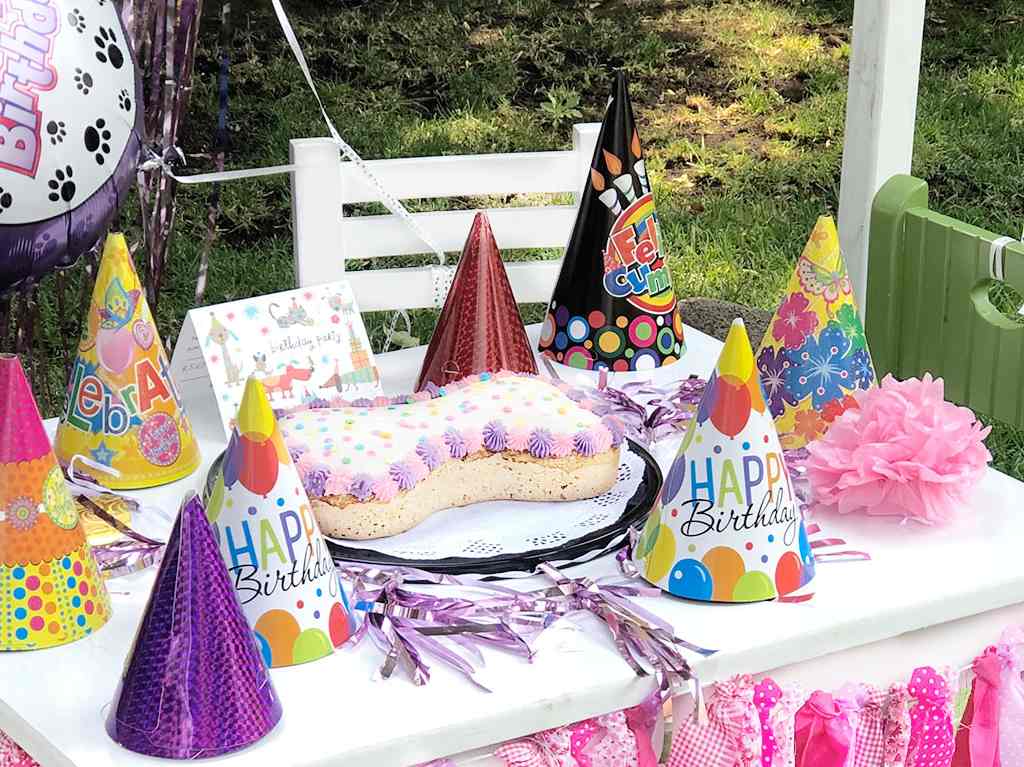 Rehilete: repostería y accesorios para fiestas de perritos