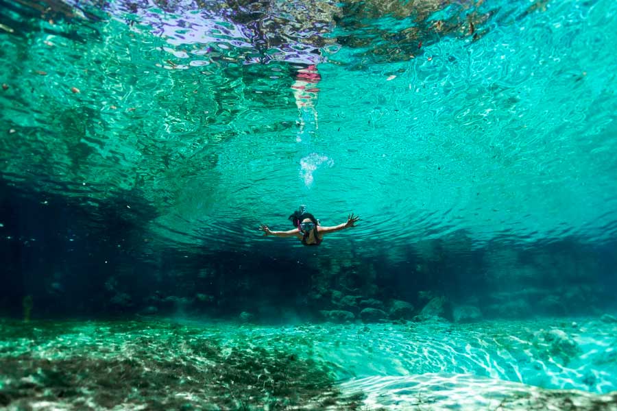 Conoce los mejores lugares para practicar buceo o snorkel en Florida