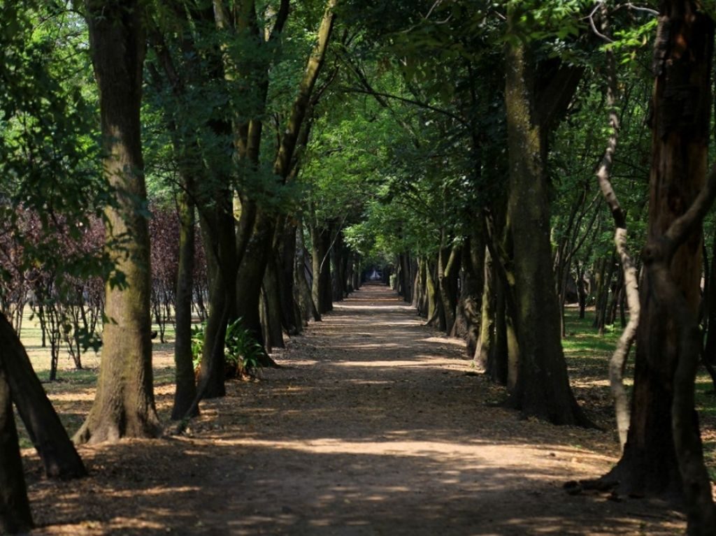 viveros de Coyoacán