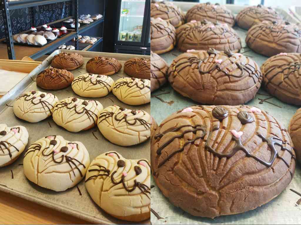 Michi conchas
