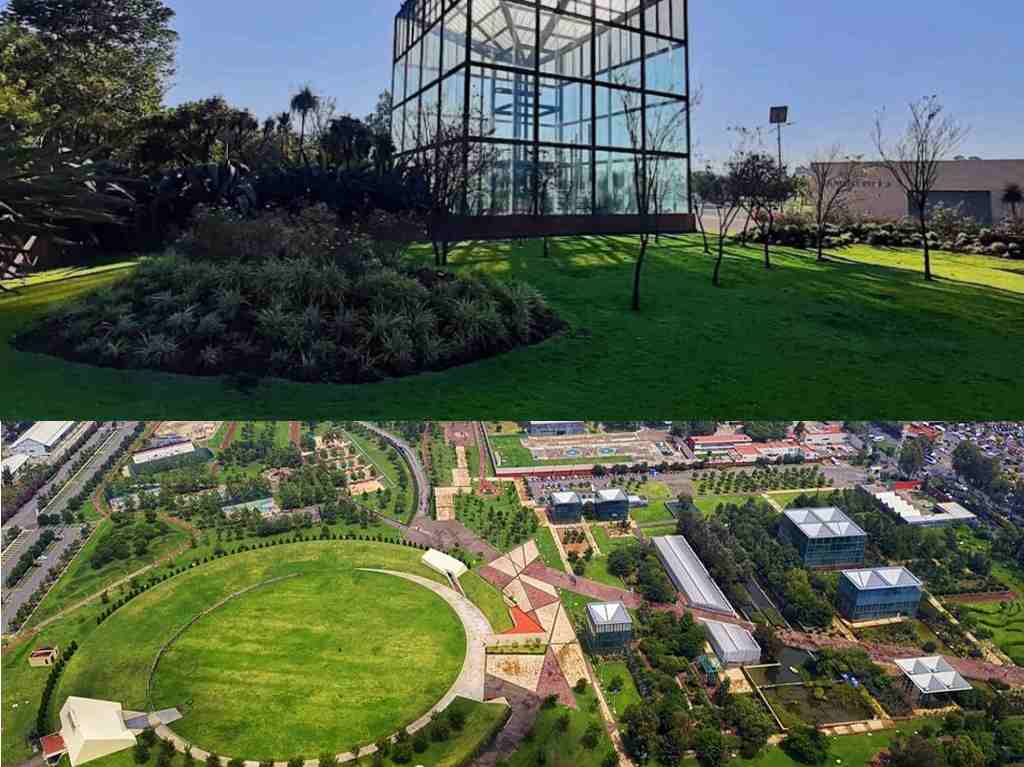 Actividades increíbles en el Parque Bicentenario Áreas Verdes