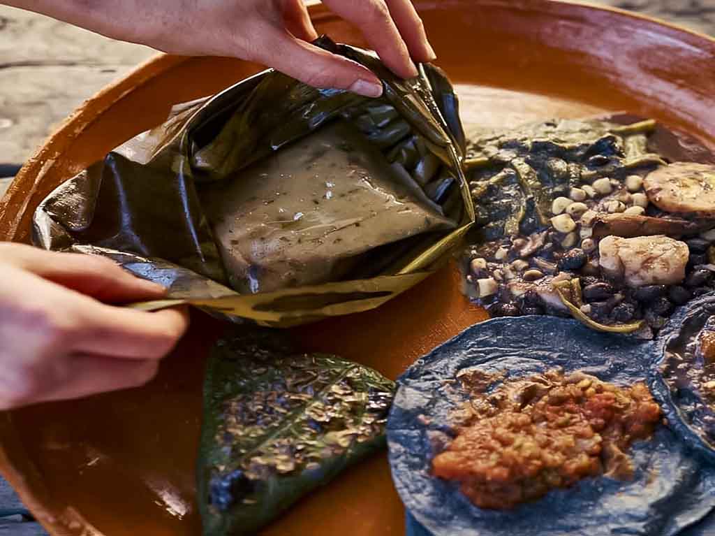 Arca Tierra: comida chinampera y sustentable en Xochimilco