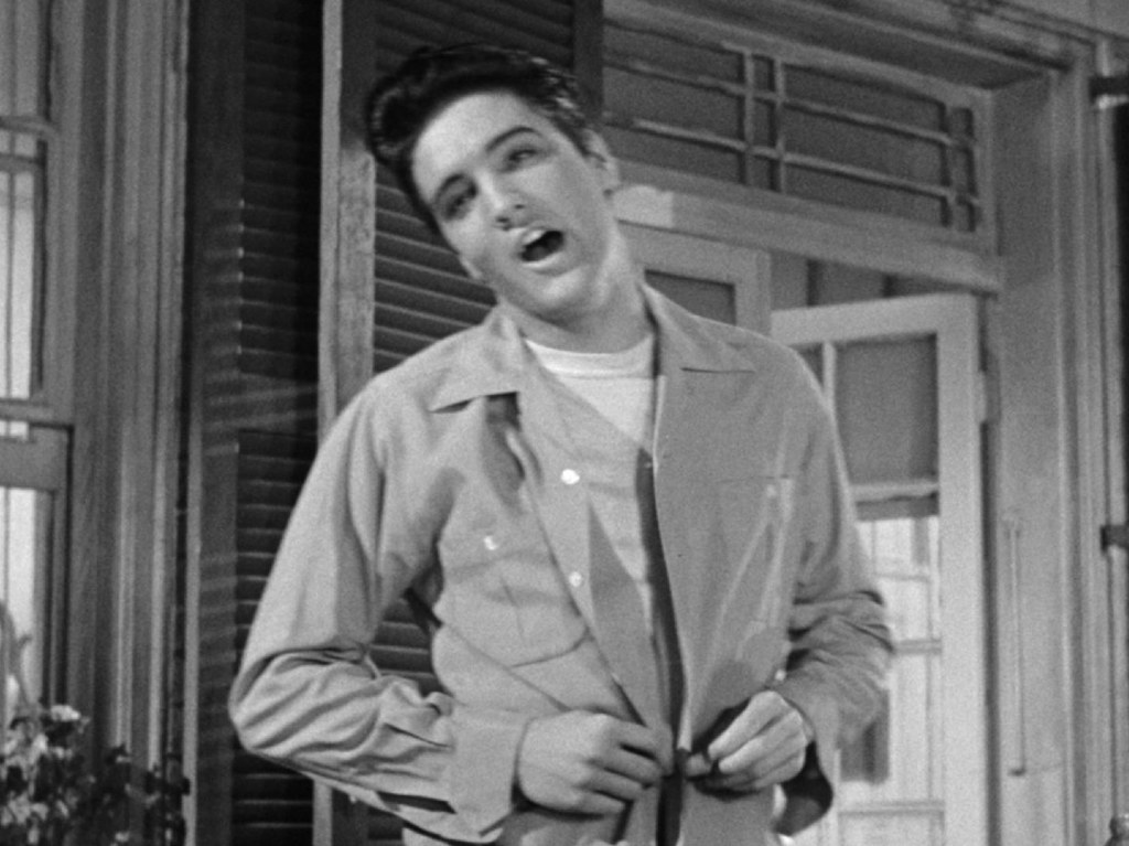 Elvis Presley, el rey del rock and roll en Netflix