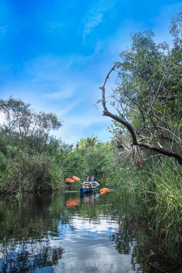 Lugares maravillosos para practicar kayak en Florida