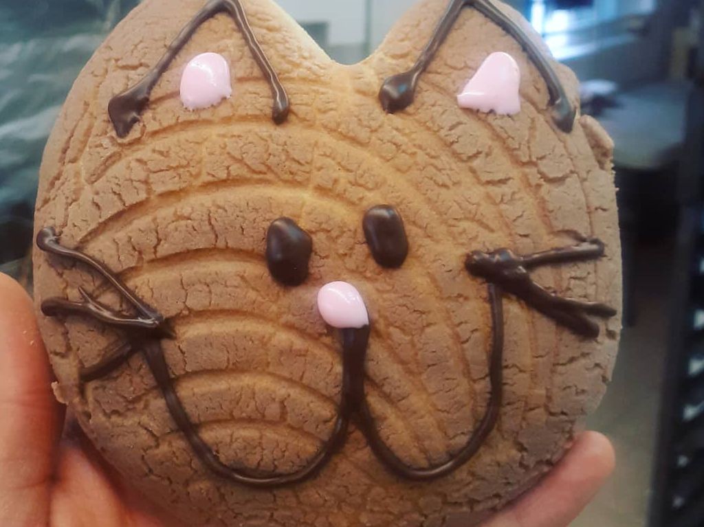 Mini conchas de gato en CDMX, mira dónde las venden