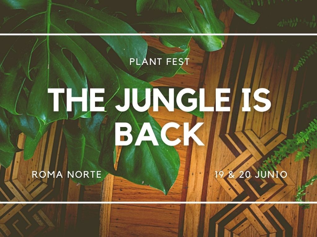 Plant Fest 2021: regresa el bazar de plantas a la CDMX