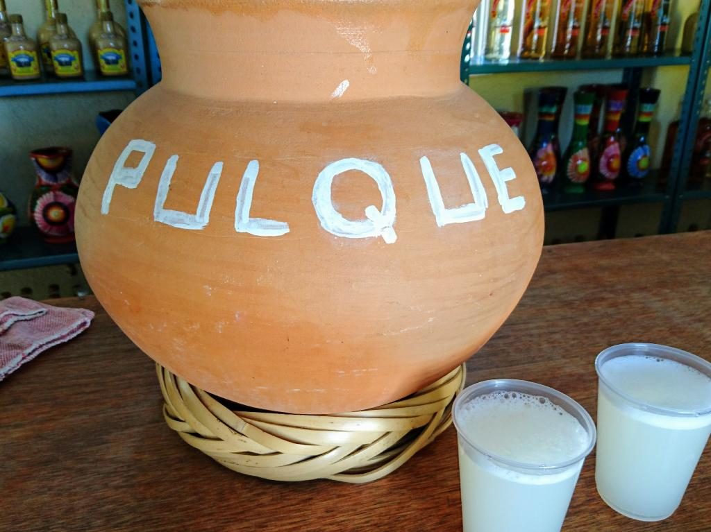 Pulque Fest 2021 vasos