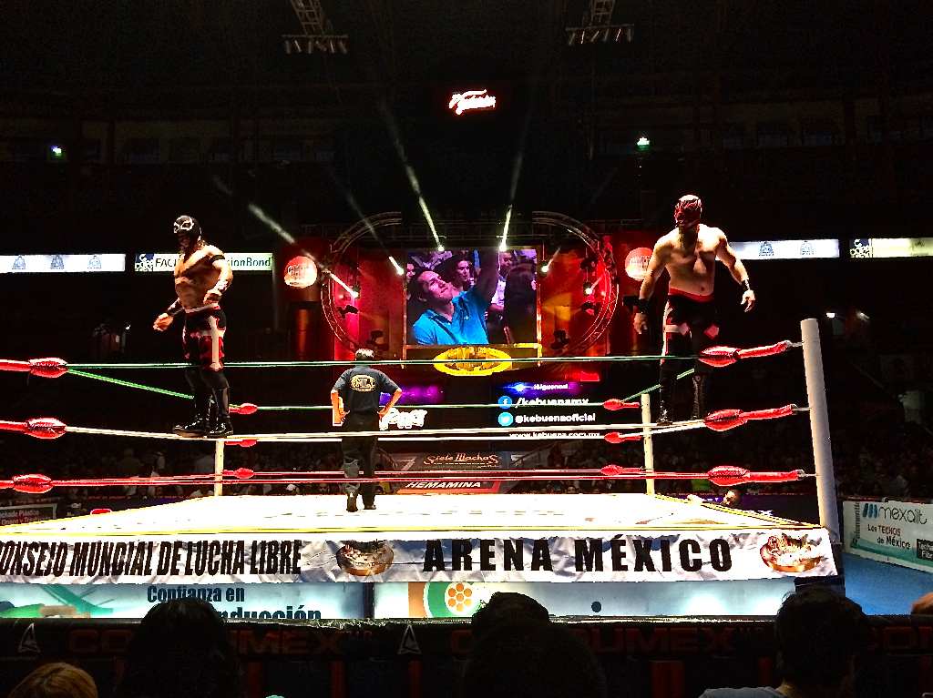 Día Nacional de la Lucha Libre y del luchador profesional