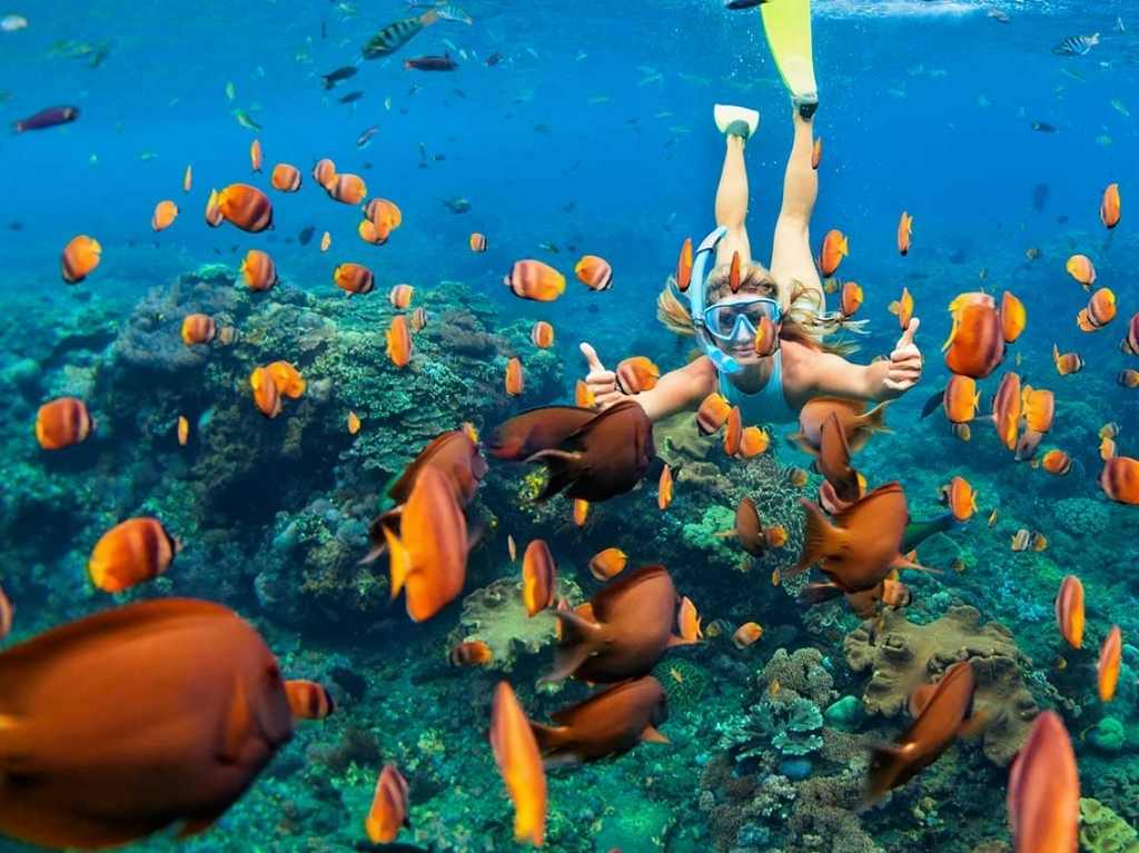 Hacer snorkel. 30 cosas que hacer antes de los 30