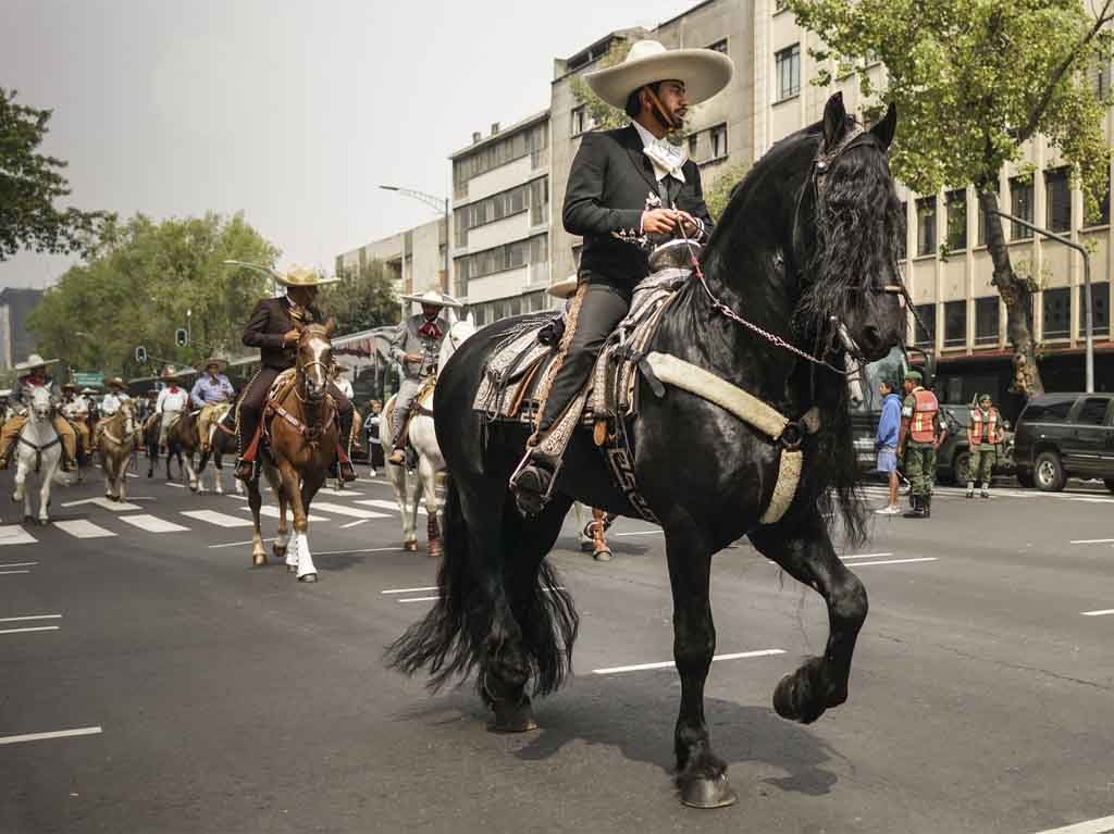 5 libros de crónicas de cdmx