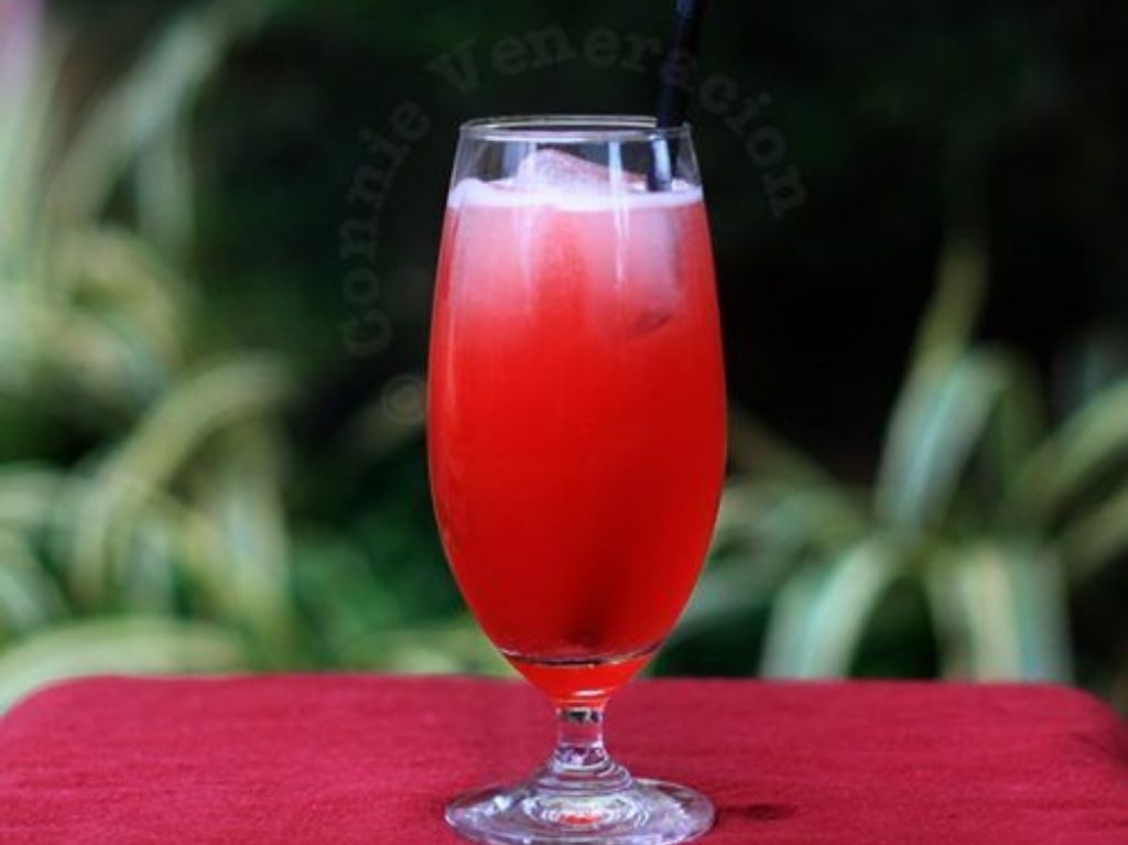 recetas-de-cocteles-frescos-para-el-verano-singapore-sling