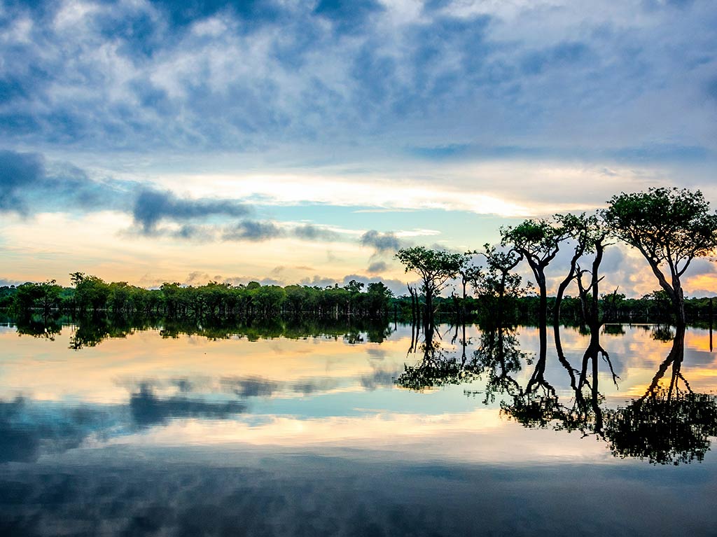 6 datos curiosos sobre el Amazonas que debes conocer