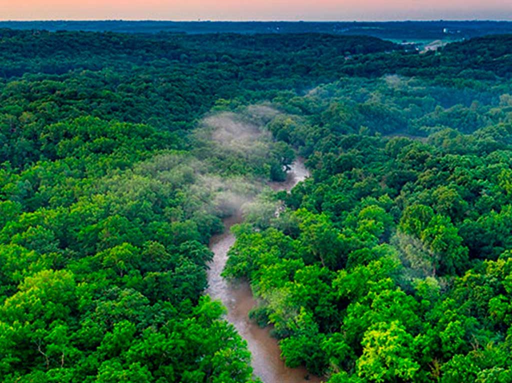 6 datos curiosos sobre el Amazonas que debes conocer