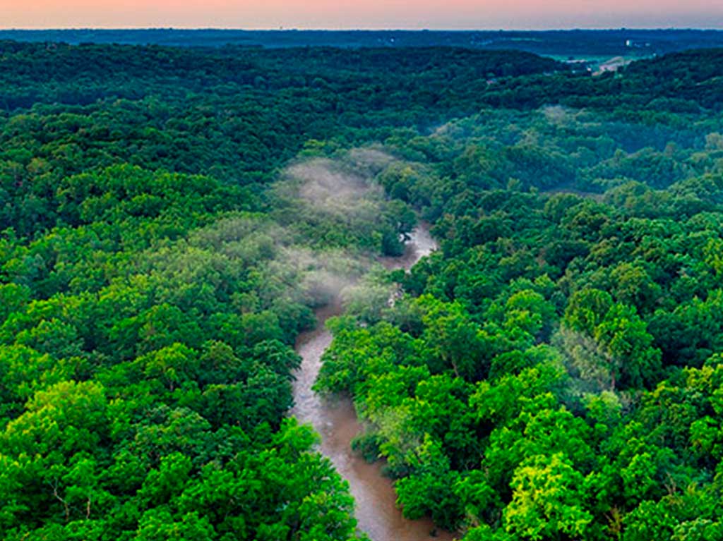 fuente-de-oxigeno-6-datos-curiosos-sobre-el-amazonas-que-debes-conocer